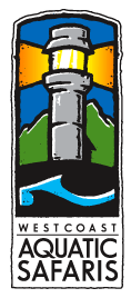 westcoastsafaris
